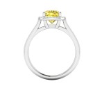 Halo-style ring setting in white gold